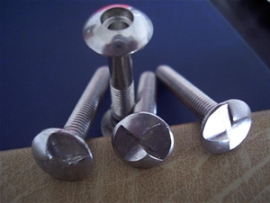 護(hù)欄防盜螺絲